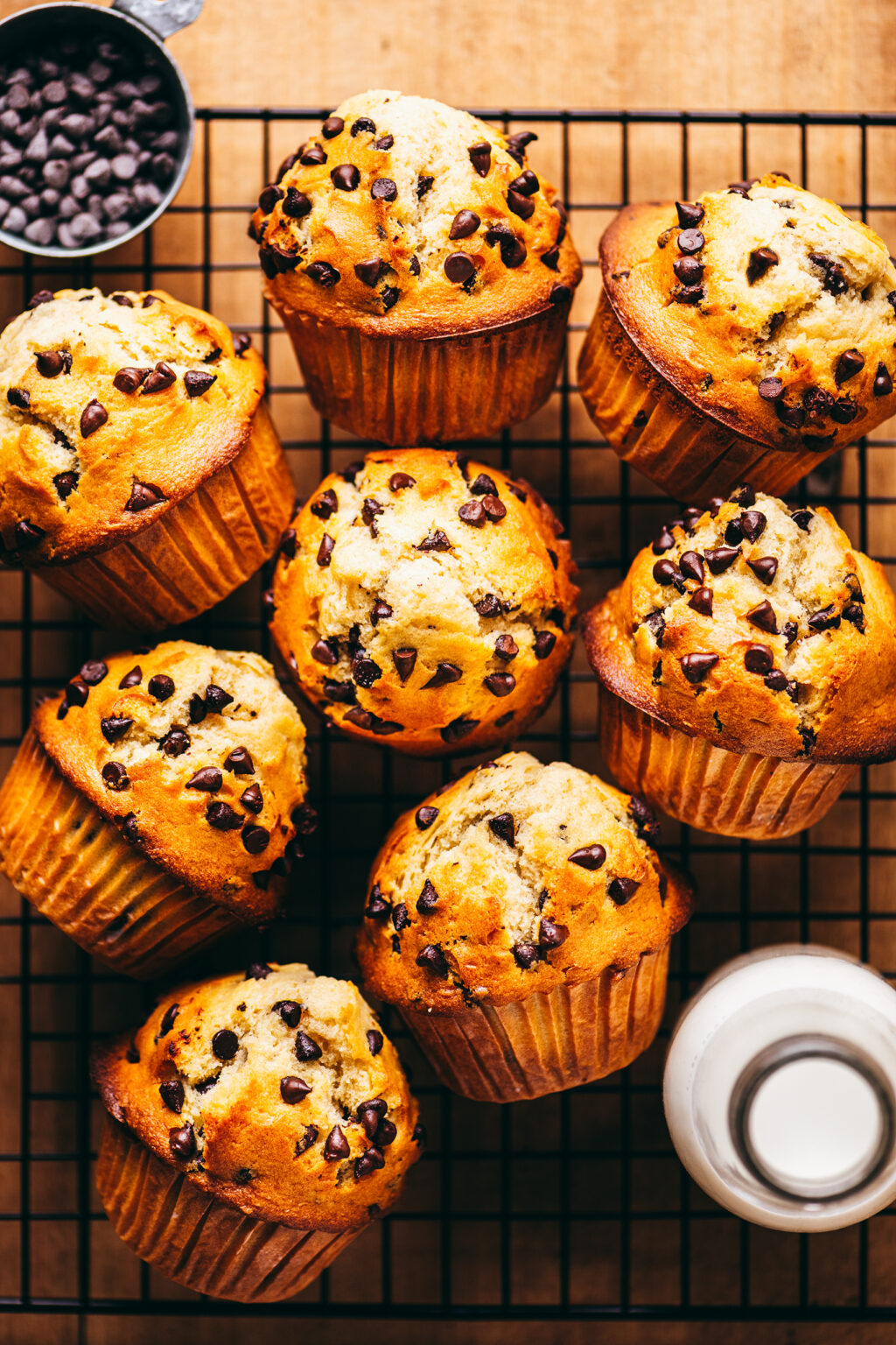 Chocolate Chip Muffins - Lilie Bakery